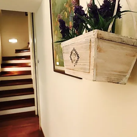 Tl Palazzo Fantuzzi *